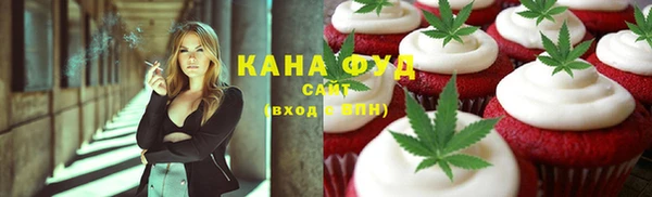 хмурый Ельня