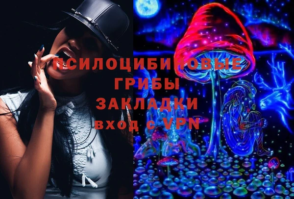 ешки Арсеньев