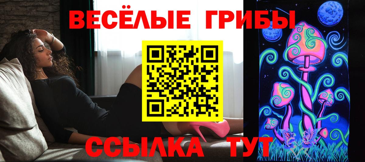 Галлюциногенные грибы Psilocybe Новороссийск