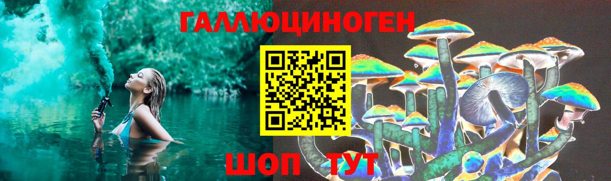 Новороссийск  Галлюциногенные грибы Cubensis  Вход с VPN 