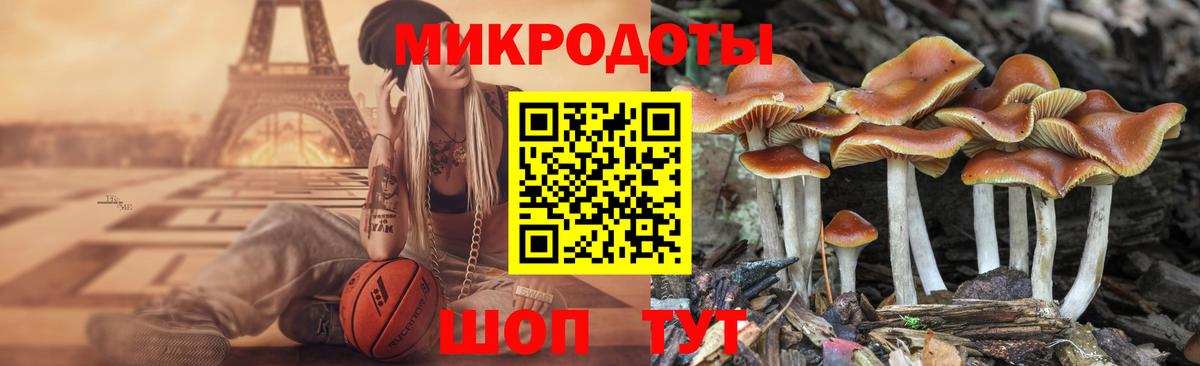 МЕФ   Конопля  Кокаин  Новороссийск  Вход с VPN  Гашиш  А ПВП СОЛЬ   МДМА 